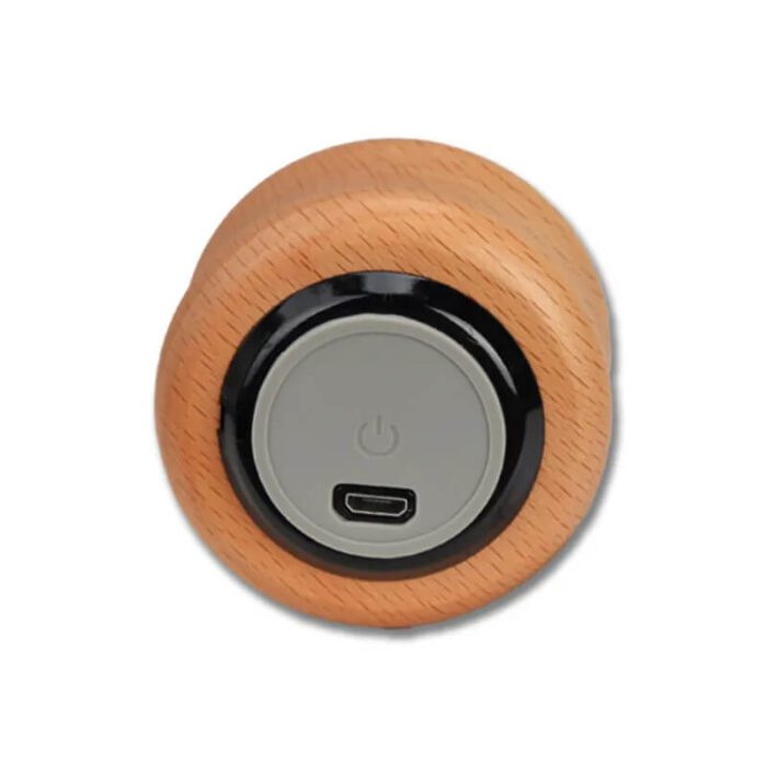 Eco-friendly wooden bluetooth speaker